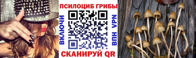 Галлюциногенные грибы GOLDEN TEACHER  продажа наркотиков  Татарск 